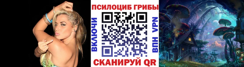 ссылка на мегу как войти  Каргат  Галлюциногенные грибы мицелий 
